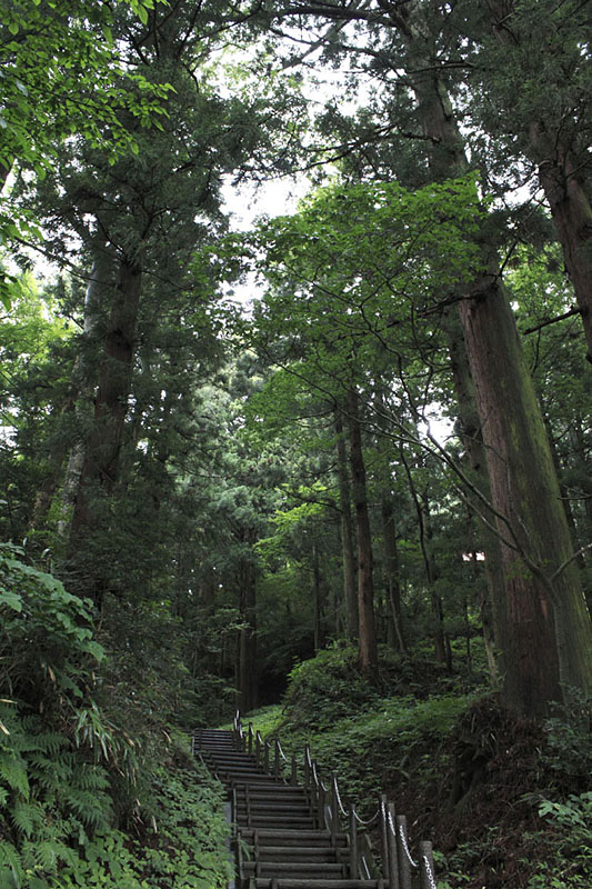 No.4269木幡の大スギ (二本松市)（観光フォトライブラリ） 法人・教育・団体・メディアの皆様向け「ふくしまの旅」