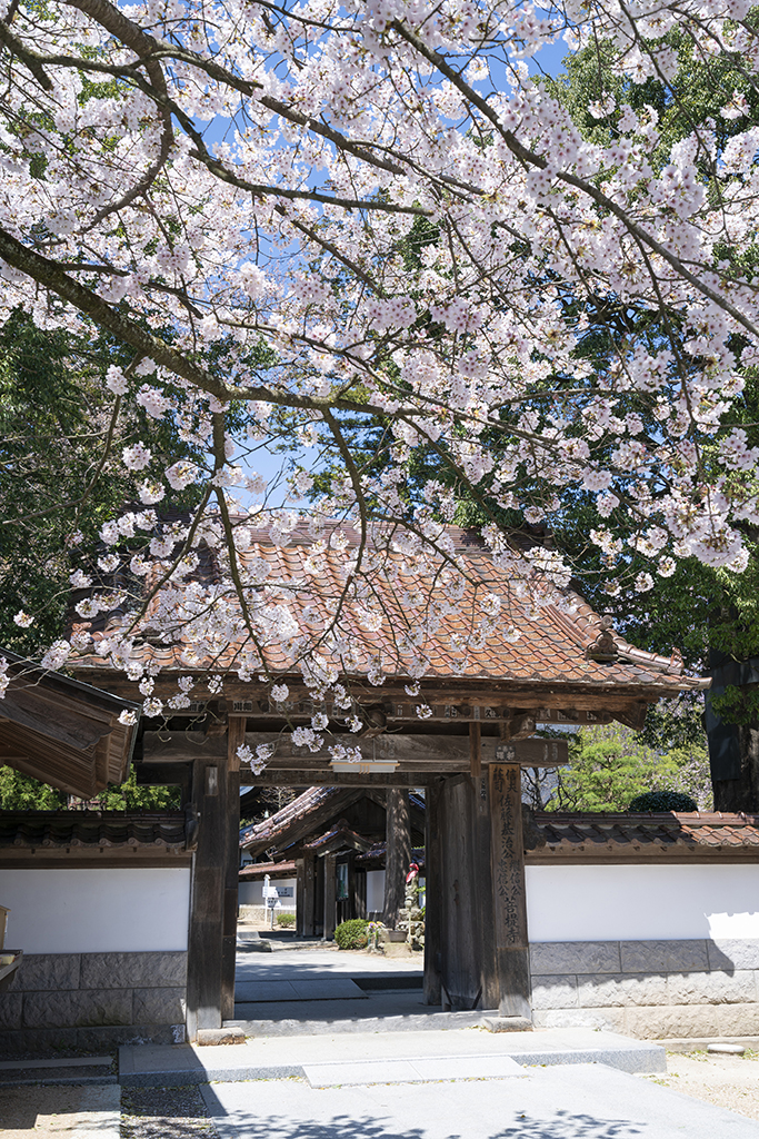 No.18738医王寺 (福島市)(観光フォトライブラリ) 法人・教育・団体・メディアの皆様向け「ふくしまの旅」