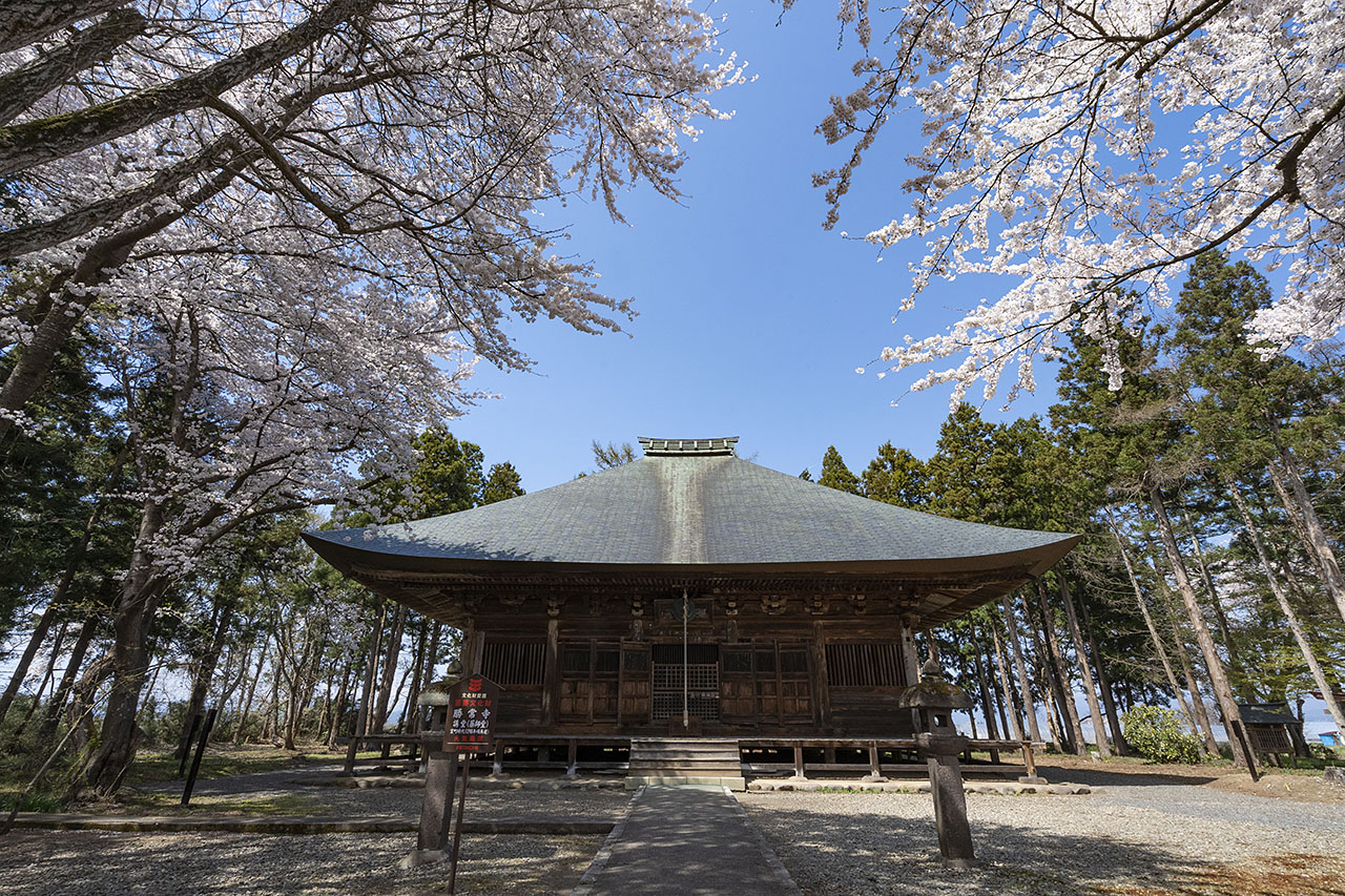 No.18300勝常寺の桜 (湯川村)（観光フォトライブラリ） 法人・教育・団体・メディアの皆様向け「ふくしまの旅」