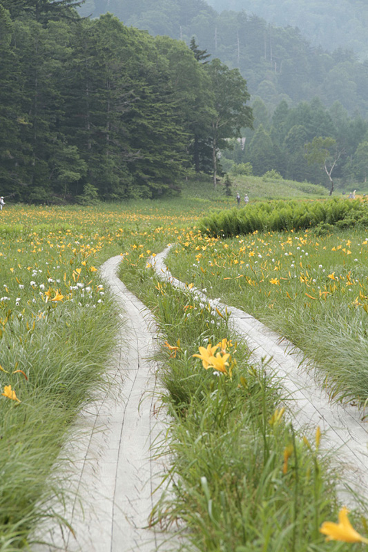 No.8175尾瀬 (檜枝岐村)(観光フォトライブラリ) 法人・教育・団体・メディアの皆様向け「ふくしまの旅」
