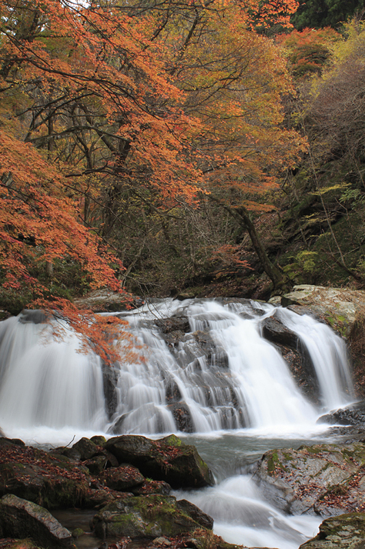 No.9512江竜田の滝 (鮫川村)（観光フォトライブラリ） 法人・教育・団体・メディアの皆様向け「ふくしまの旅」