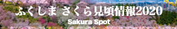 ふくしま さくら見頃情報2020