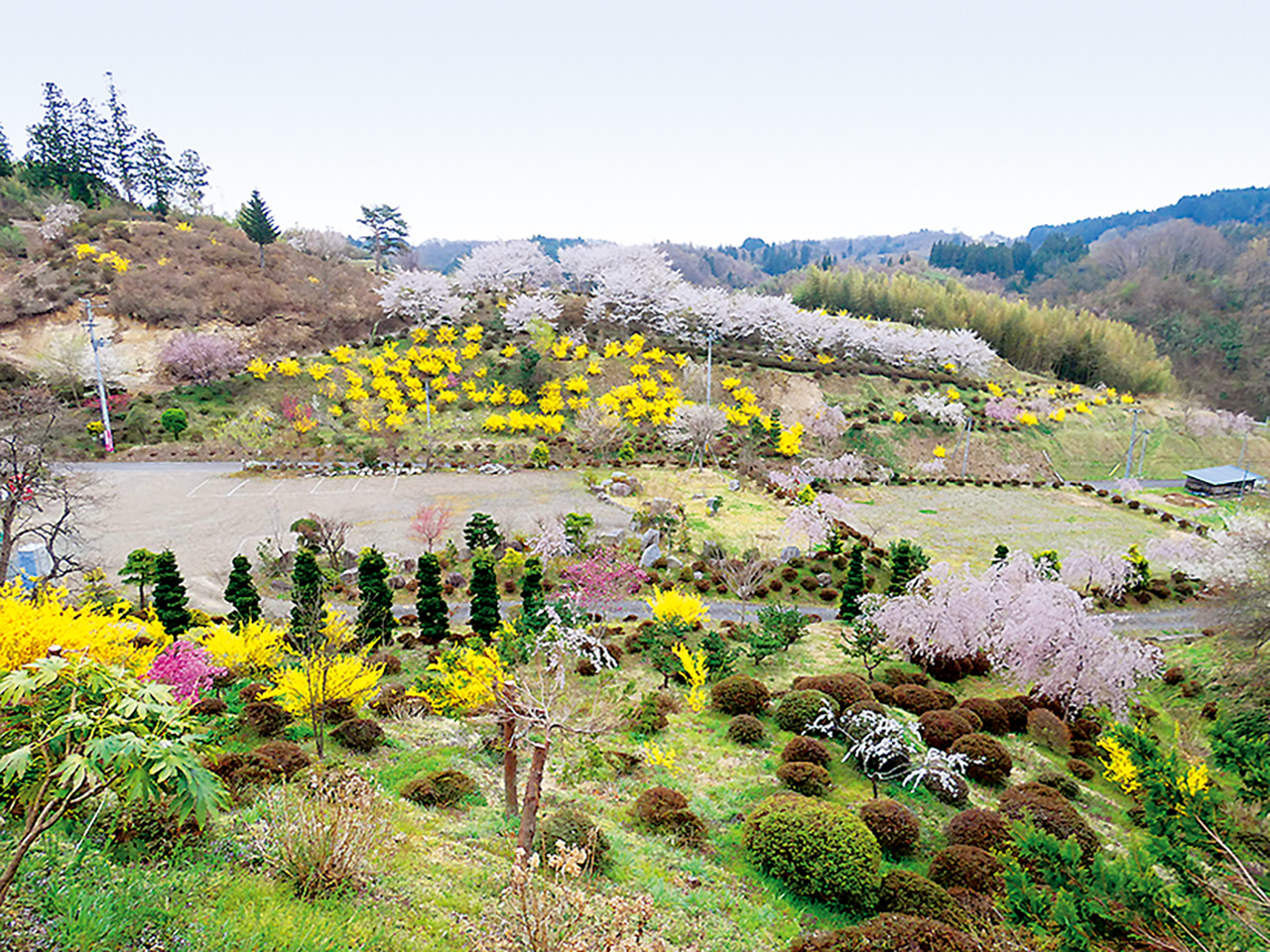 さつき山公園 県北 二本松市 花の王国ふくしま