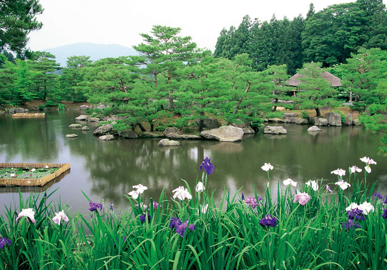 浄楽園 県北 福島市 花の王国ふくしま