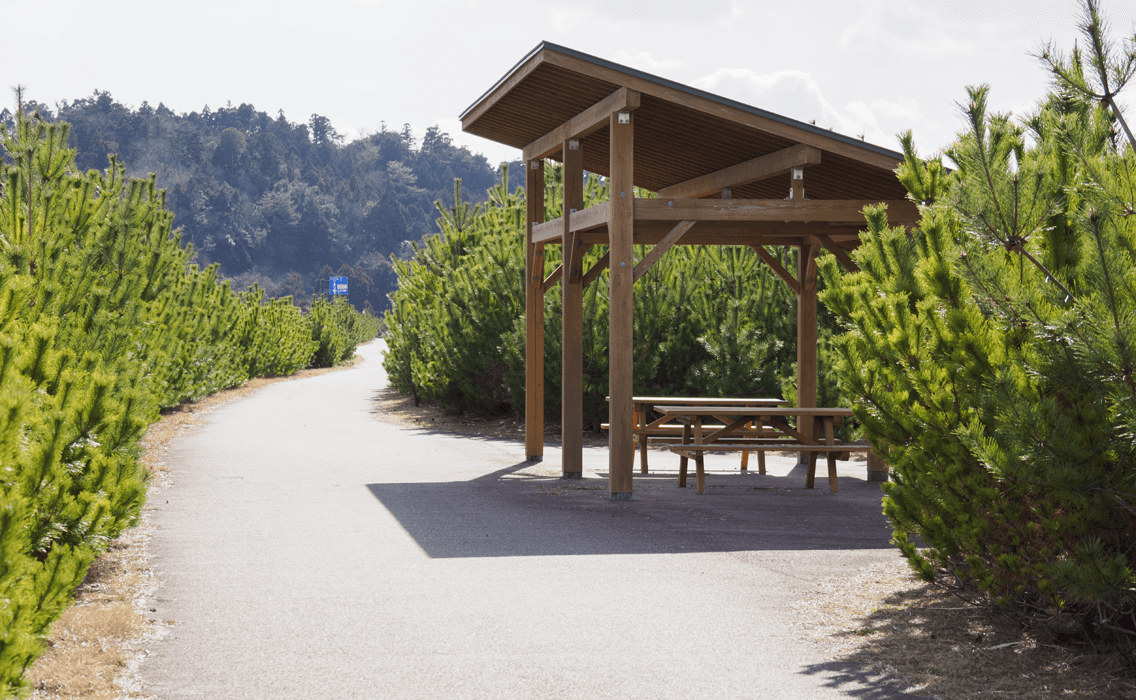 広野町防災緑地