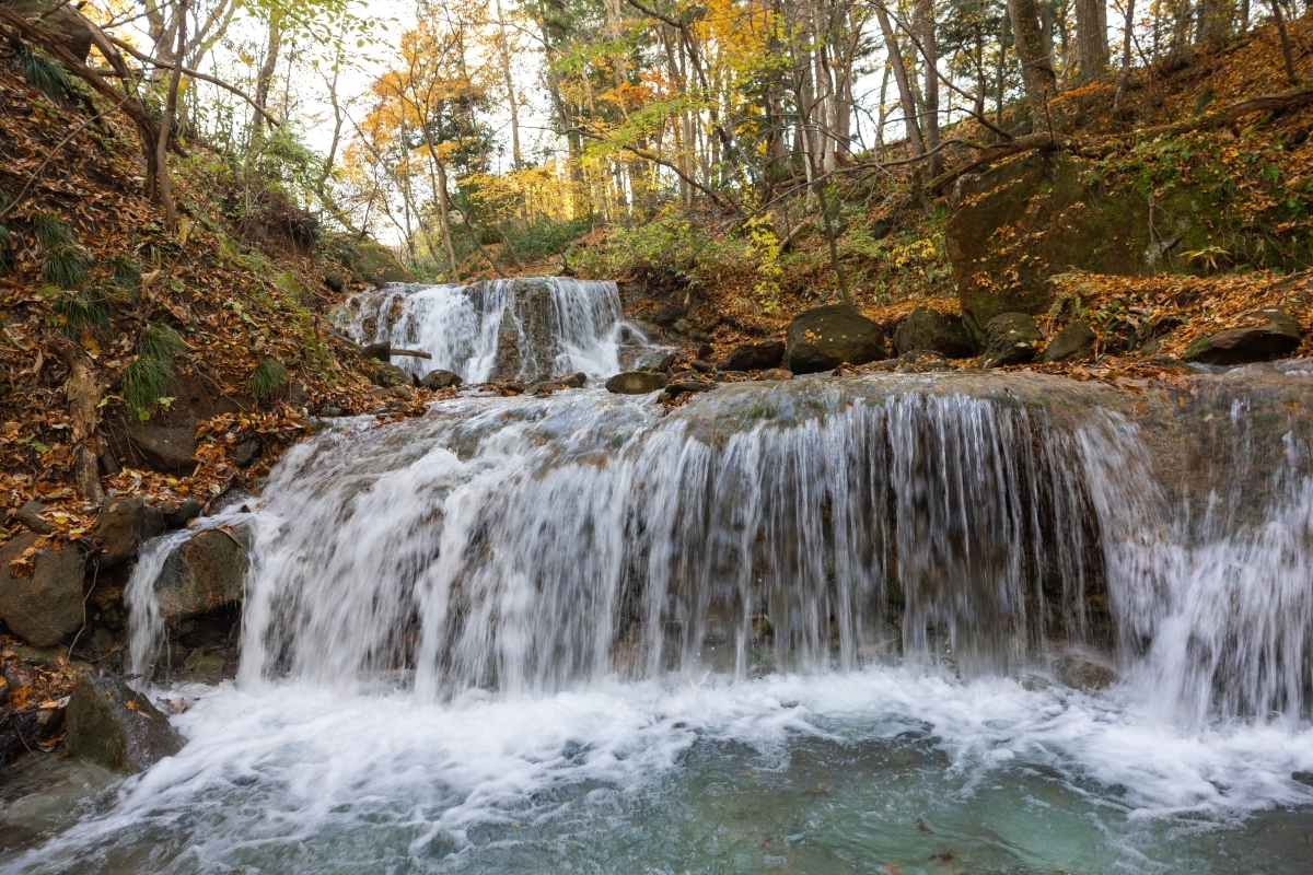 アドベンチャーフォレストライド