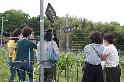 知って、飲んで、食べて体験！いわきワイナリーでカジュアルペアリング