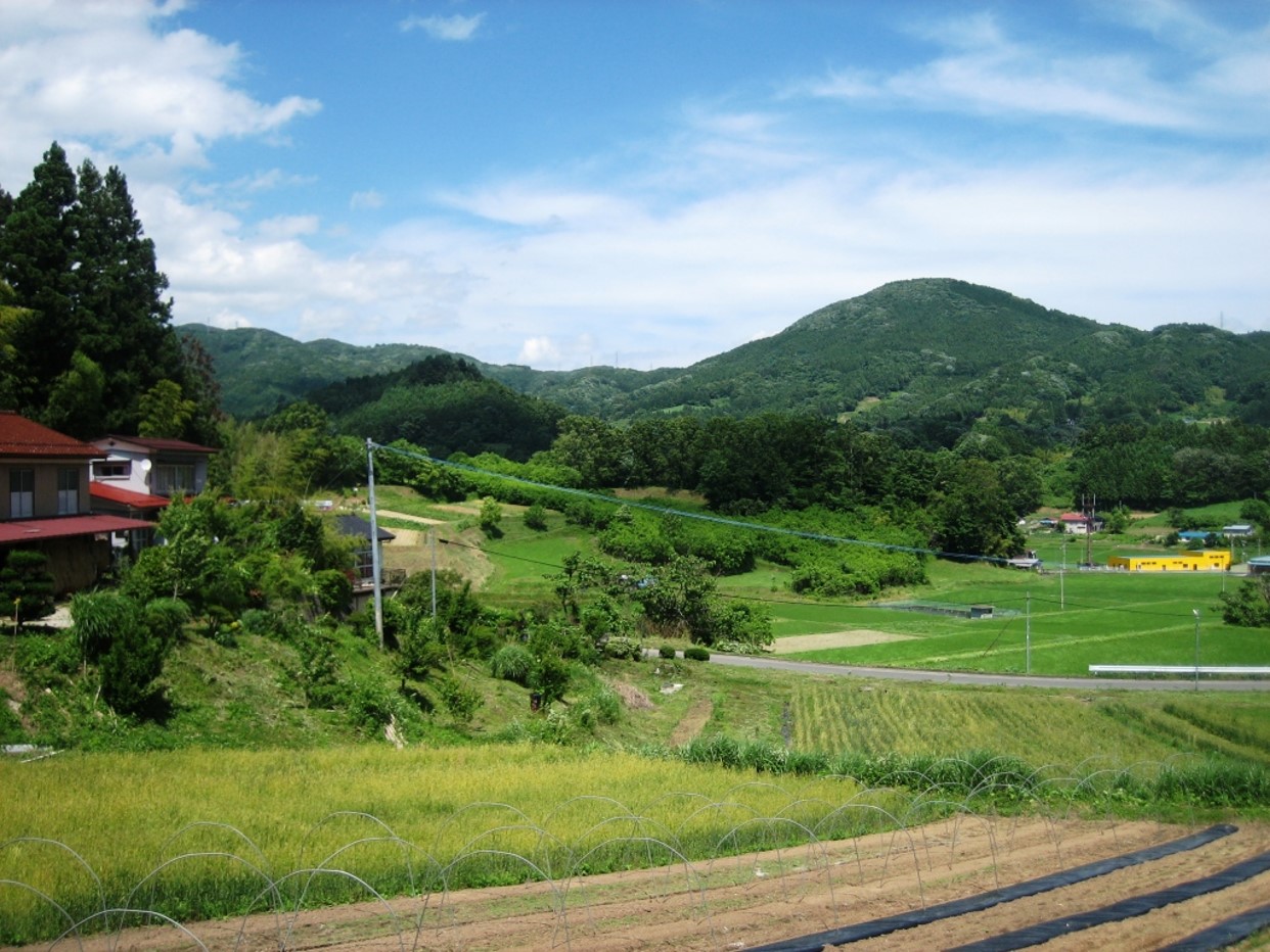 クラフトビール醸造（仕込み）体験