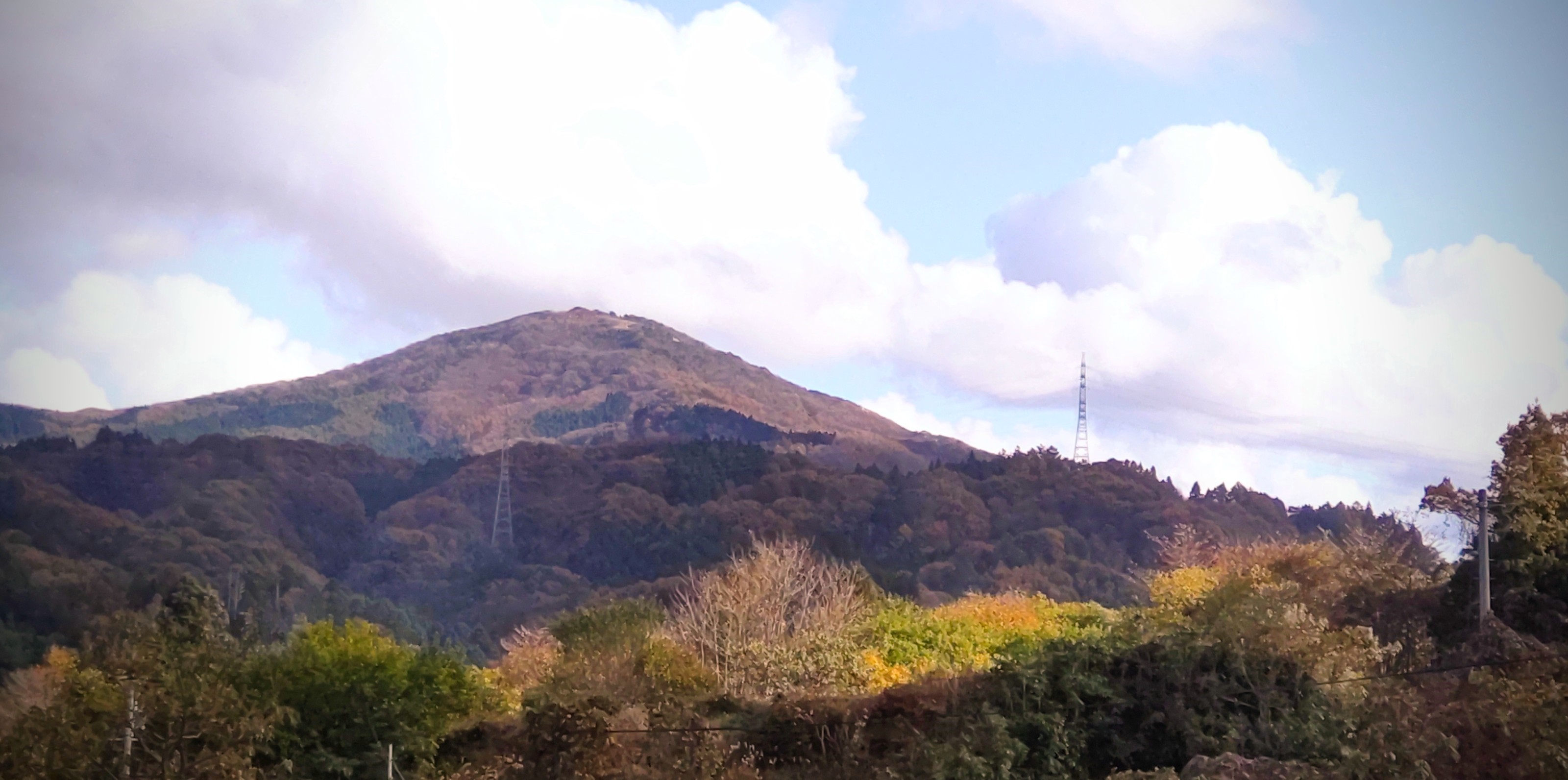 クラフトビール醸造（仕込み）体験