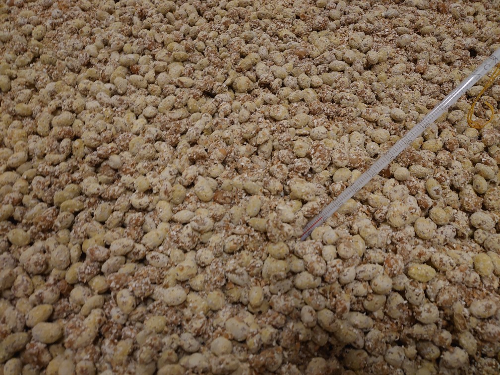 玉鈴の醤油をもっと身近に体験見学会木桶醤油にふれながら醤油の面白さを味わってみませんか