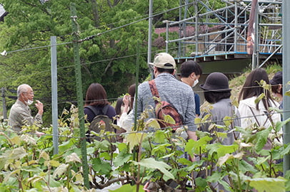 ふくしま農家の夢ワインで発酵体験作り手から醸造と発酵を学ぶ
