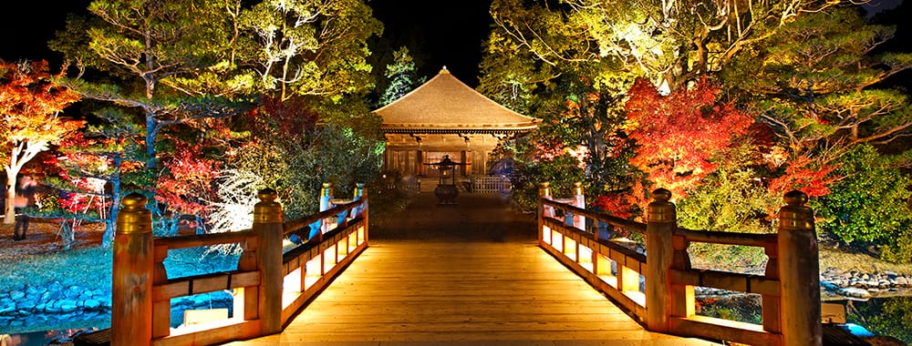 国宝 願成寺 白水阿弥陀堂 新緑の夜間特別拝観