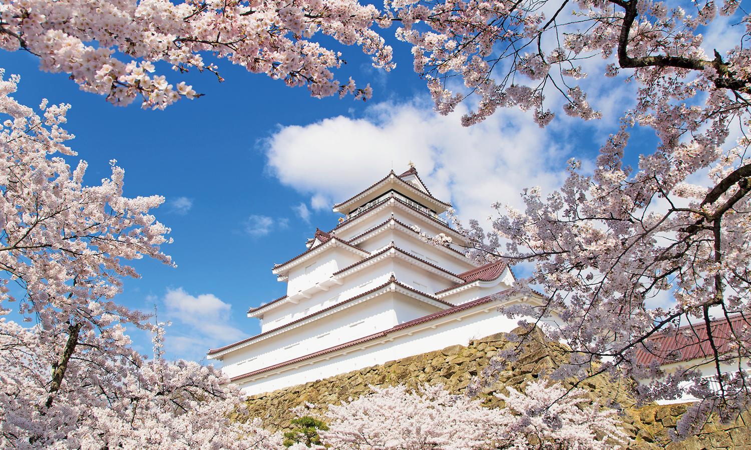 「日本さくら名所100選」にも選定された鶴ヶ城公園の桜