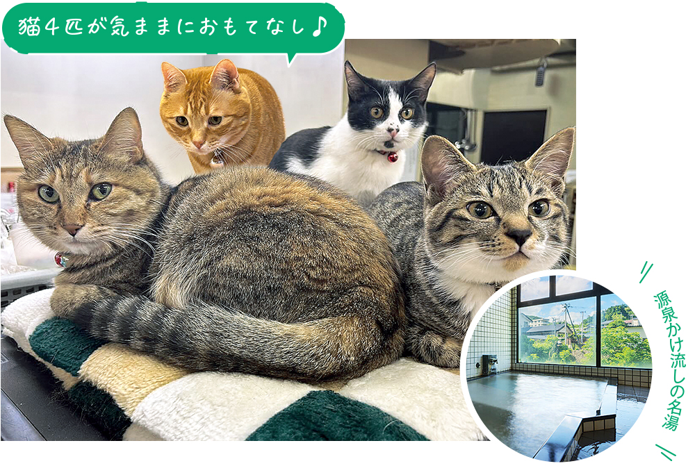 穴原温泉 おきな旅館