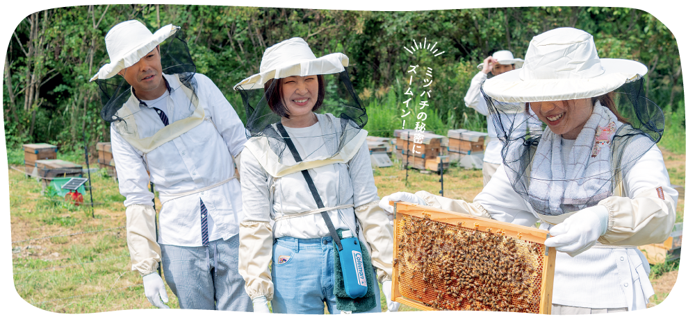 ミツバチの秘密にズームイン！