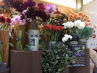 たくさんのダリア