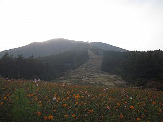 ゴンドラ乗り場からは紅葉まだでした