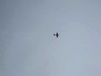 小さいけどアクロバティックショーです