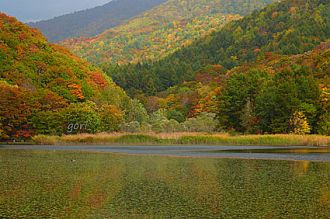淡い色付きが美しい大沢沼