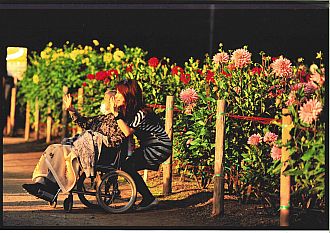 2010写真コンテスト「最優秀賞」の作品