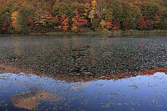 日陰になった大沢沼