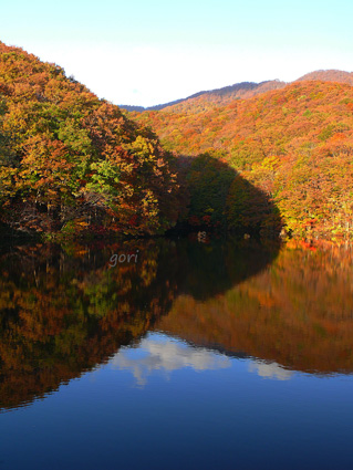 日差しがある時の曲沢沼