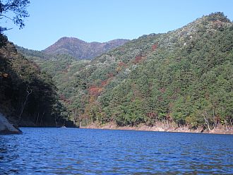 茂庭のダム湖から見た山。まだ見頃には遠いです