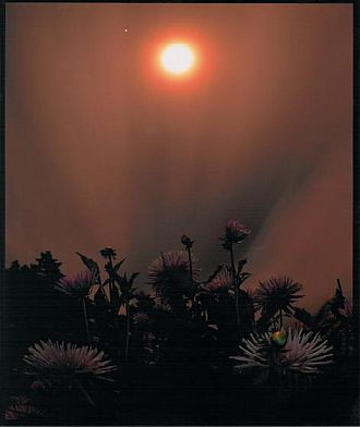 湯遊ランドはなわの部「審査員特別賞」