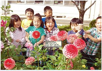 町民の花園の部「審査員特別賞」