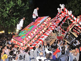 こういった映像が見られるはず！！