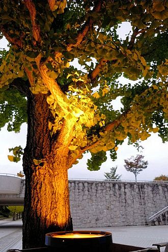 試験点灯の様子（10.21撮影）