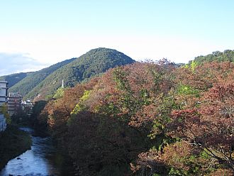 今日の撮影ではこんな感じ。新十綱橋から