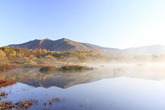 霜が降りて明るい色になる