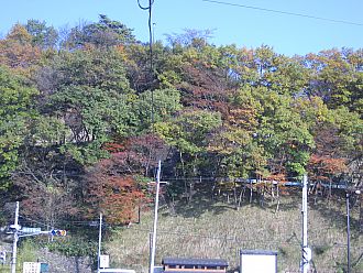 今年の愛宕山です･･･(T_T)