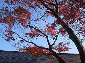 キャー！！美しい♪