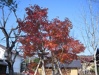 こちらは足湯に浸かりながら見ることができます