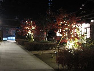 じゃじゃーん！！