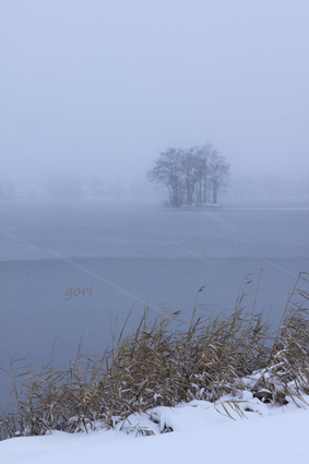 薄っすら氷が張り始めた曾原湖