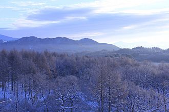 高台からはモノトーンの世界