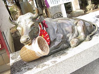 体の患っている部分をスリスリ♪知恵が欲しければ頭をスリスリ♪