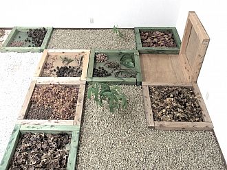 送られた公園の