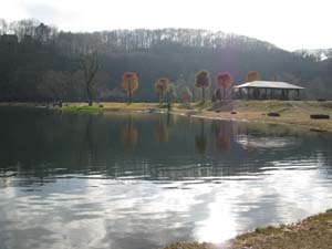 レベルに合わせたフィールド