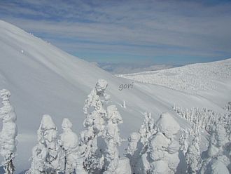 山頂東側に広がる斜面は絶好のスキーバーン