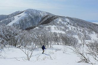猫魔ケ岳に向かって快適に下る