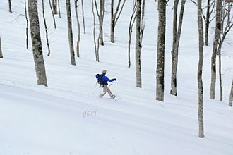 急斜面を速足で歩くのもスノーシューの楽しみの一つ