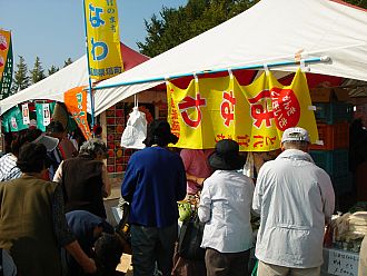 この黄色いのぼり旗が目印です。