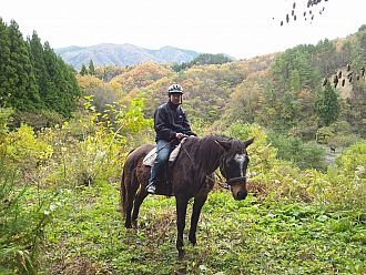 新緑が美しい山を馬に乗ってお散歩♪
