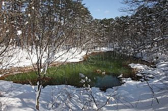 緑と赤のコントラストがひときは目を引く赤沼。