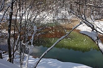 光の角度の関係か、みどろ沼は今ひとつ。