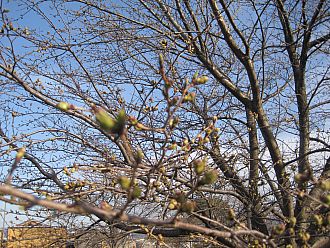 がびーん(+o+)まだまだでした･･･